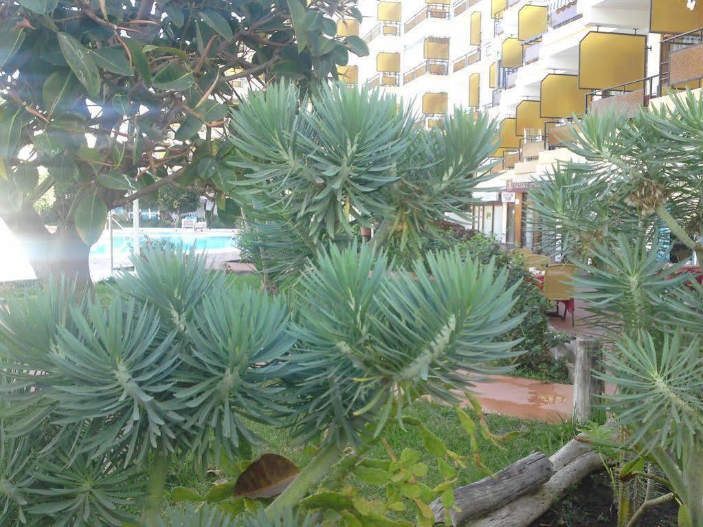 Apartamentos Europa Плайя-дель-Інглес Екстер'єр фото